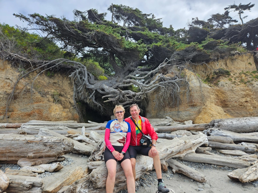 The famous 'Tree of Life'. One of many natural wonders to see on route.