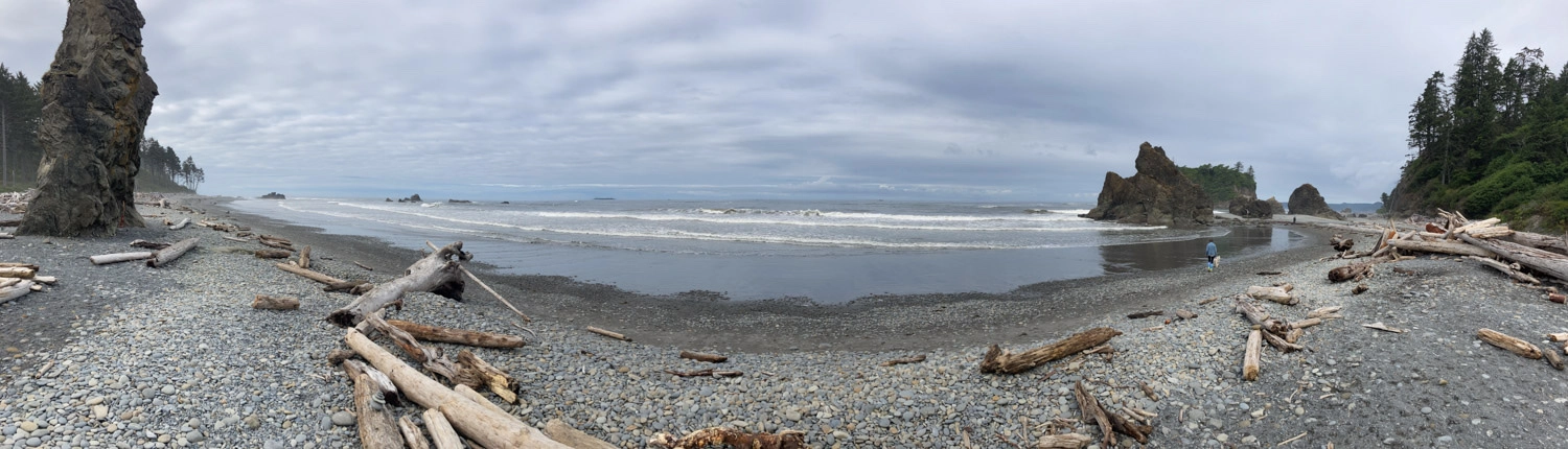 The wild coastal views of the adventure.