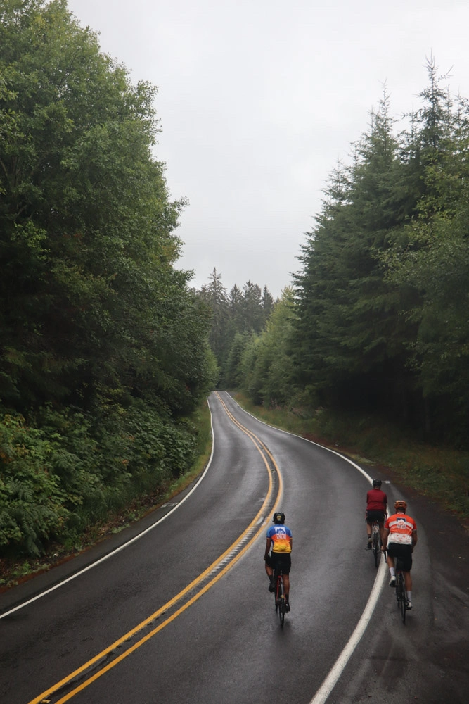 The Hoh Rainforest.