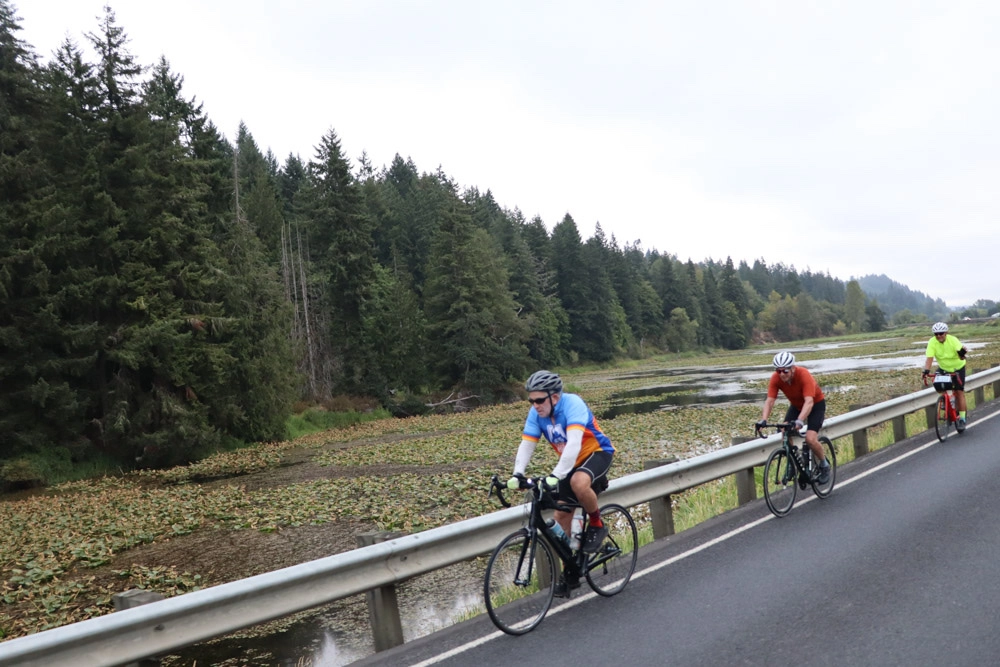 Cycle Oregon's lush forests as you ride down the West Coast.