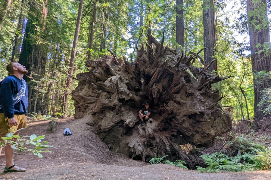 Be sure to stop off while cycling the Pacific Coast and take hikes into the forests!