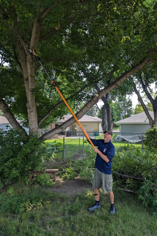 Cutting down overhanging branches.